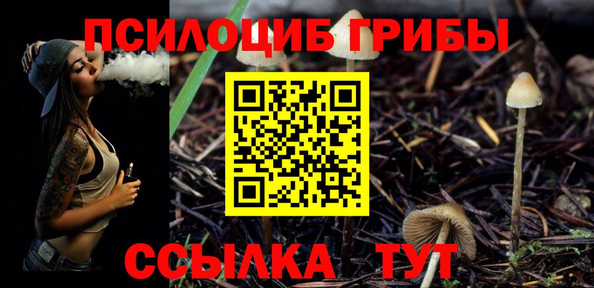 Галлюциногенные грибы мицелий  Вход с VPN  Керчь 