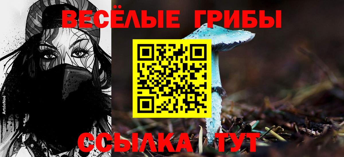 Галлюциногенные грибы Magic Shrooms Керчь